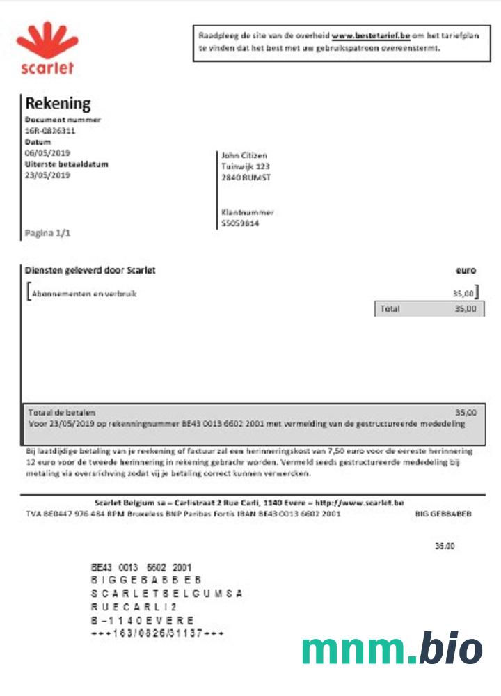Belgia Scarlet rachunek za media szablon w formacie Word i PDF